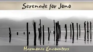 Serenade for Jono: Harmonic Encounters