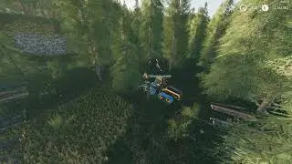 [FS19] - Timelapse, cutting down forest with scorpion king