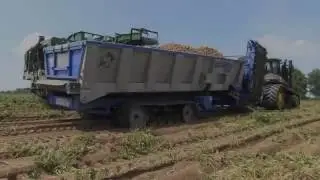 2015 Crop Shuttle Potato