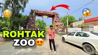 Aaj To Rohtak Zoo Aa Gaye 🦒😍
