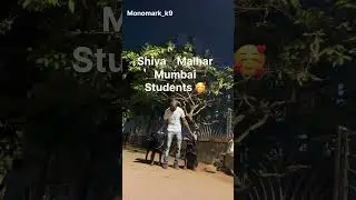 &ldquo;Shiva and Malhar: Two Aggressive Souls Learning to Coexist&rdquo; @Yshakhthelion #monomark_k9