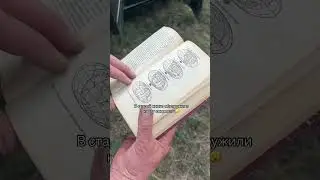 Отправились на поиски сокровищ🤫