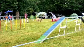 Bolle`s A3 in Kassel