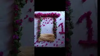 best background for baby Photoshoot  with paper flower (Bougainville)