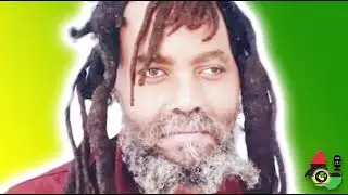 FREE MUMIA ABU JAMAL