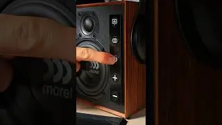 Почему такая мелкая и так жестко играет!? Morel Biggie из Израиля!