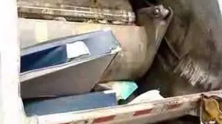 Advanced Disposal
