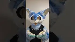 Eufuria 2024 Photo/Video Rules