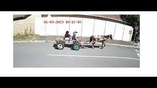 Horse and cart pass through Enza Circle, Bothasig...