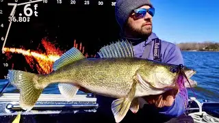 Поиск судаков перед нерестом с Garmin Livescope! (FOX RIVER)