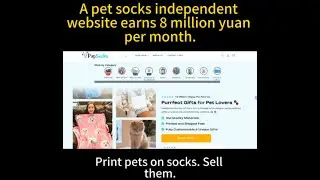 Why PupSocks Succeeded by Turning Pet Love into ECommerce Growth