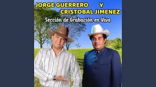 Mireyita (En Vivo)
