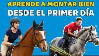Lo Que NADIE Te Ense&ntilde;a al Empezar a Montar a Caballo