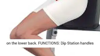 Body-Solid GVKR60 Vertical Knee Raise with Dip Station for Abdominal and Core Training, Home and