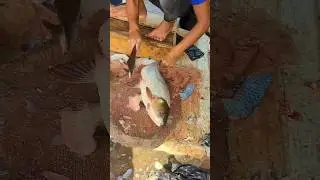 Rohu Fish Cutting😲Traditional Perfect Size Big #shorts #fish #rohufishcutting #viral #youtubeshorts