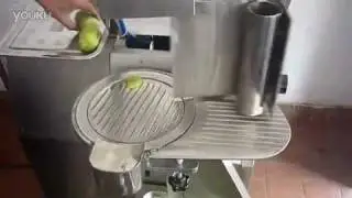 kiwi fruit/Actinidia slicer/slicing machine/chipper