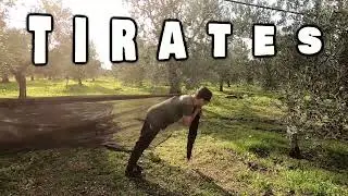 TEAM ALIVE - Il Fitness Perfetto 2