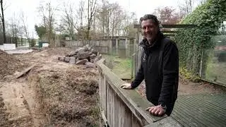 Under construction: de verblijven van twee nieuwe diersoorten