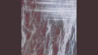 Petrichor