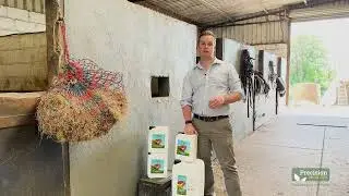 Precision Microbes Complementary Feed for Horse & Foal