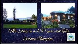 My stay in a 130 year old Tea Bunglow | Talayar Valley Bunglow | Munnar Kerala #tourism #hillstation