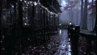Midnight Forest Rain 🌧️🌲 | Deep Sleep & Stress Relief Sounds
