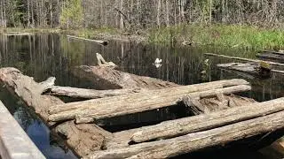 WHYTE LAKE TRAIL IN WEST VANCOUVER - EASY HIKE FOR BEGINNERS