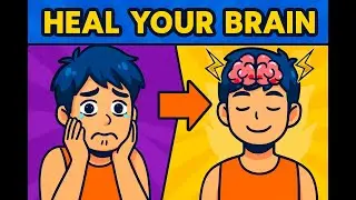 The Neuroscience of Mental Health Recovery: Evidence-Based Brain Repair After Emotional Breakdown