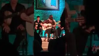 Arrivederci Cowboy - Daniele Sardone (Con Improvvisazione)