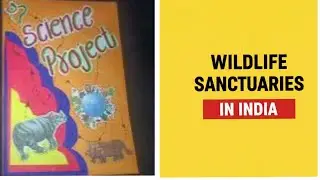 Wildlife Sanctuaries in India | School Project  Wildlife Sanctuaries in India