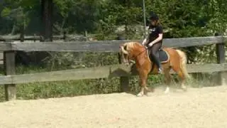 DSCF4731
