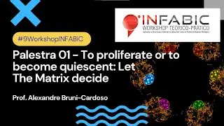 Palestra 01 - To proliferate or to become quiescent - Let The Matrix decide Prof. Alexandre Bruni