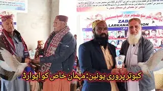 Larkana Low Fire Pigeons کبوتر پروری یونین: مہمان خاص کو ایوارڈ سے نوازیہ گیا