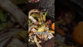 Composting 101: A Guide for Everyone