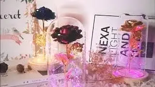 Infinity Rose in Glass Jar