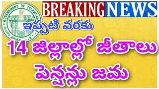 TS EMPLOYEES AND PENSIONERS MARCH MONTH SALARIES PENSIONS CREDITED IN 14 DISTRICTS
