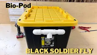 How to build a bio-pod | Black Soldier fly Larvae