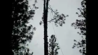 SDC10267