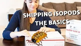 How To Ship Isopods