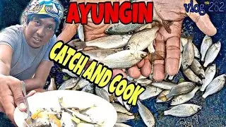 AYUNGIN CATCH AND COOK / TALIM PH VLOG 282
