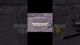 на сколько хорошо тебя знает друг #Игра #стандофф2 #друг #Тим #залети#врек