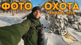 Фотоохота с Sony a6700 и 200-600mm. Солнечно, холодно и очень много синиц