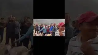 Lalitpur Ashrang khasi cup winners vayar Ramailo gardaii kheladi haru🤟🤟🤟🤟❤️❤️❤️❤️❤️