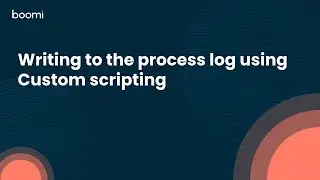 Writing to the process log using Custom scripting