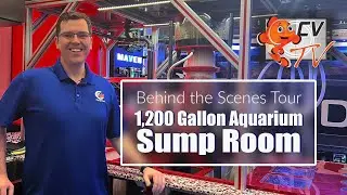 Inside a 1,200-Gallon Reef System: Complete Sump Room Tour