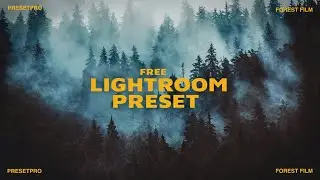 FREE Lightroom Preset 