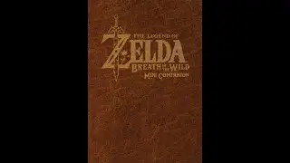 Custom Zelda Breath of the Wild Mini Companion Version 1 to Version 2 Compare