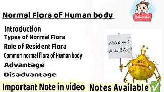 normal flora of the human body in Hindi | role of normal flora microbiology | #normal_flora