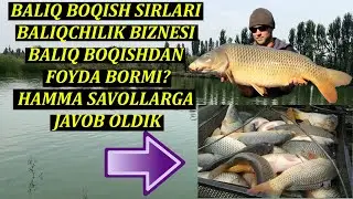 BALIQ BOQISH SIRLARI BALIQCHILIK BILAN SHUG'ULLANISH