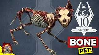 SKYRIM КАК ПОЛУЧИТЬ ПИТОМЦА КОСТЯНОГО ВОЛКА &mdash; самого крутого/бесполезного питомца? Завершение кве...